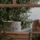 A blurry image of a window with trees in the background.